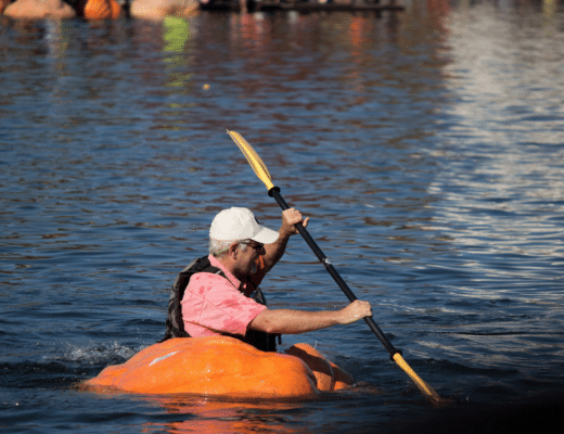 pumpkin regatta kuerbis regatta see fahren boot