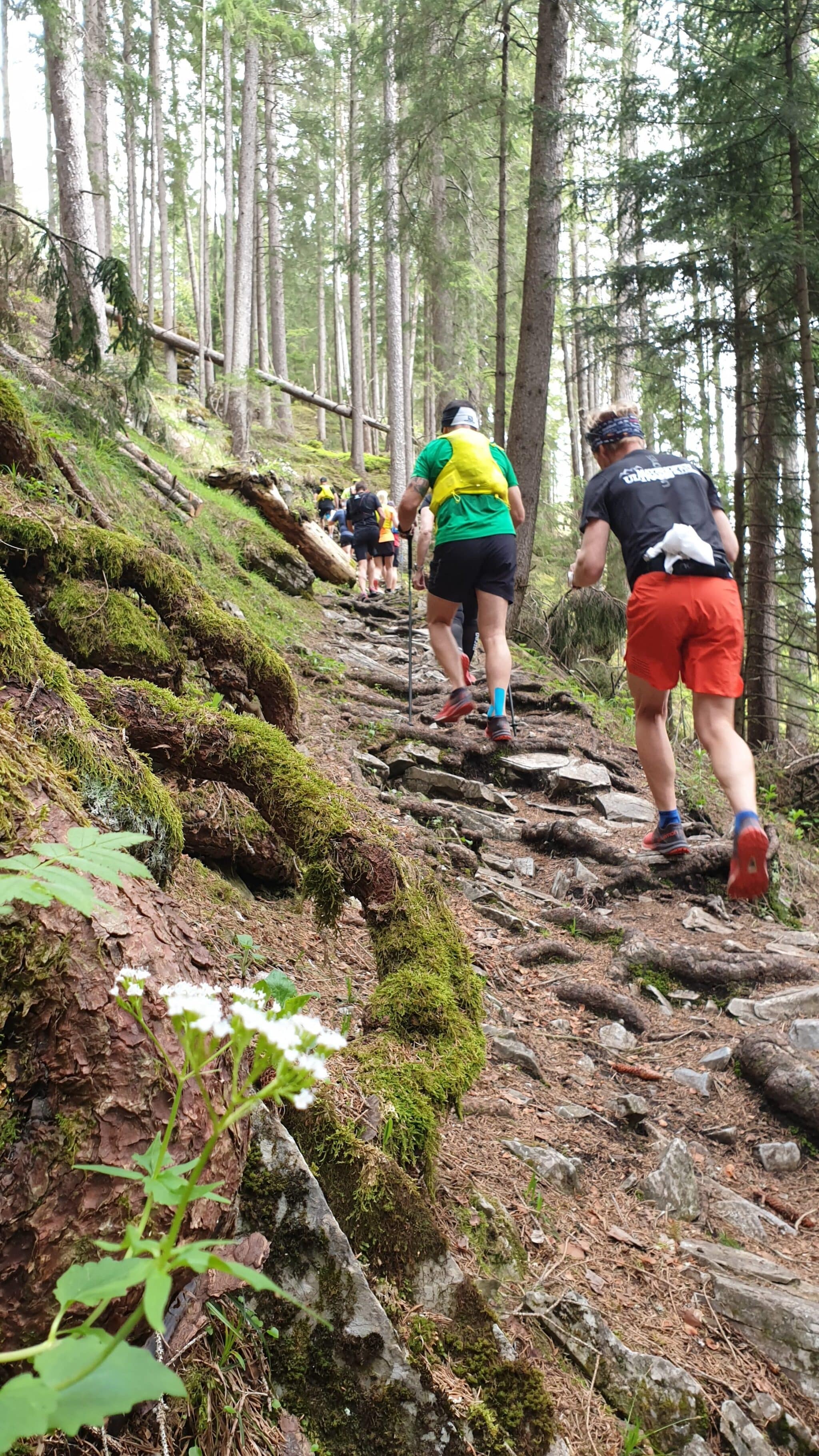 Trailrunning Camp Trails Mayrhofen e1560067921258